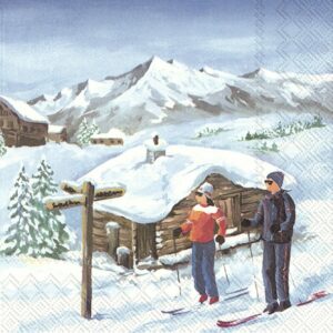 IHR serviett lunch - Ausblick