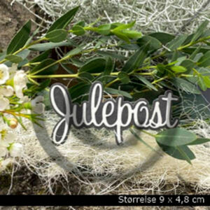 Dies - julepost