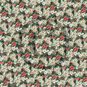 Julestemning - julestjerner 2