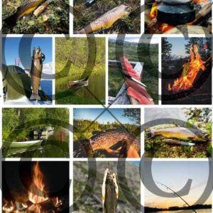 Klippeark - fiskemotiv