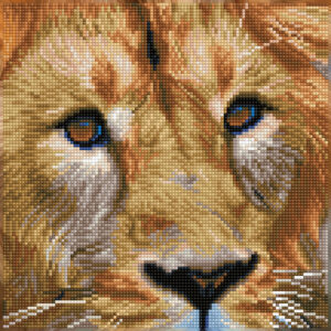 Diamond Dotz DD5 – Serengeti Magic 30x30cm