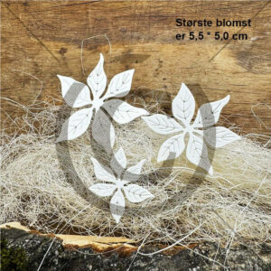 Dies - julestjerne 3