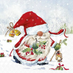 IHR serviett lunch JUL- Chris