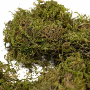 Mose i pose til dekor grønn 60gram