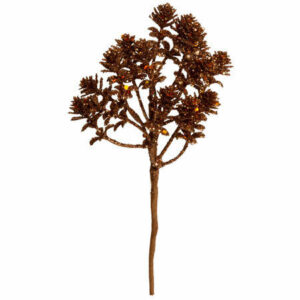 Kvist konglekvist brun m/glitter 21cm