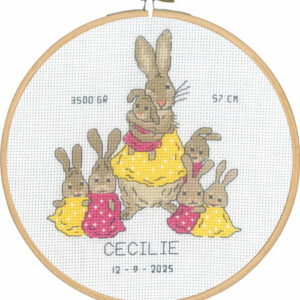 Broderisett - kaninmor, fødselsmål