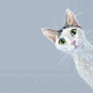 IHR serviett lunch - Cat Stella Light Blue