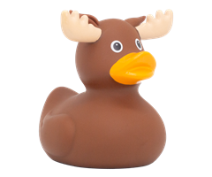 Badeand, Skogens konge