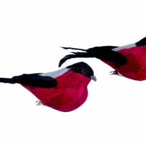 Fugl fjær m/klype 14cm 2stk