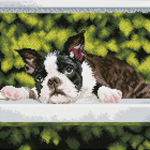 Diamond Dotz Squares DQ10 – Boston Blues 47x37cm