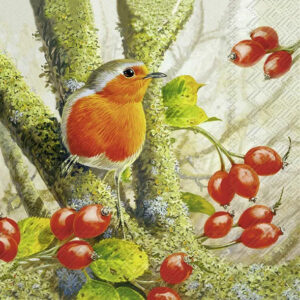 IHR serviett lunch - Robin In The Forest