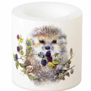 IHR Stormlys - Forest Hedgehog Cream