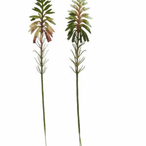 Rakettblomst stilk 43cm 1stk