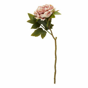Peon stilk rosa 46cm rosa