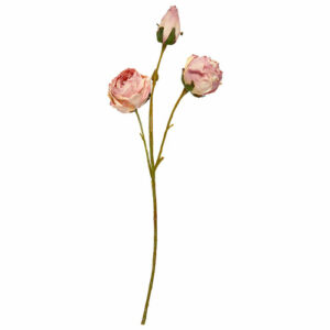 Rose stilk 51cm rosa