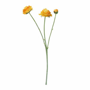 Ranunkel stilk 48cm orangegul