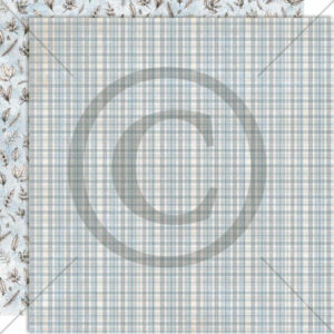 Vinterglede - Frostnatt