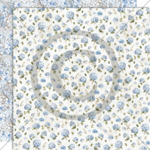 Fremtidsdrøm - hortensia