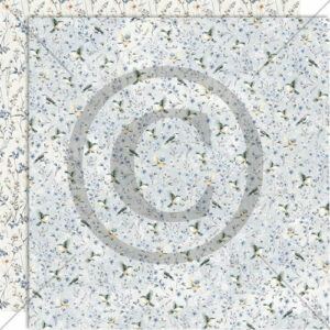 Fremtidsdrøm - suser avgårde