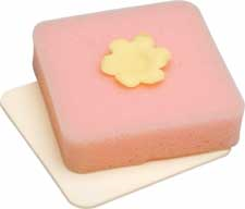 Fondant formings svamp