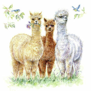 Serviett Lunsj Alpaca friends