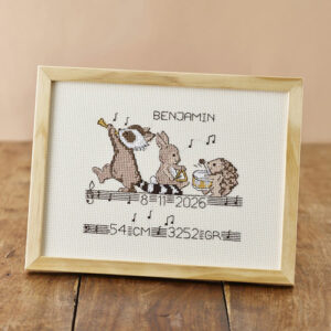 Broderisett - musikk dyr