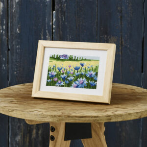 Broderisett - kornblomster