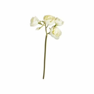 Ranunkel stilk 33cm hvit
