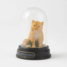 Harry Potter - Crookshanks curiosity cloche